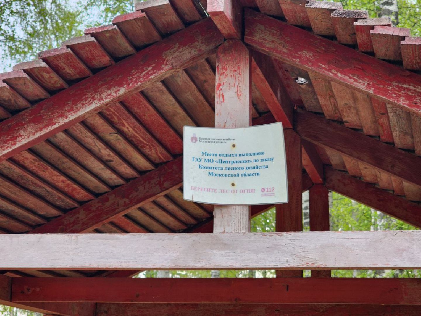 чехов, общество, зона для пикника, зона для отдыха, лесничество,