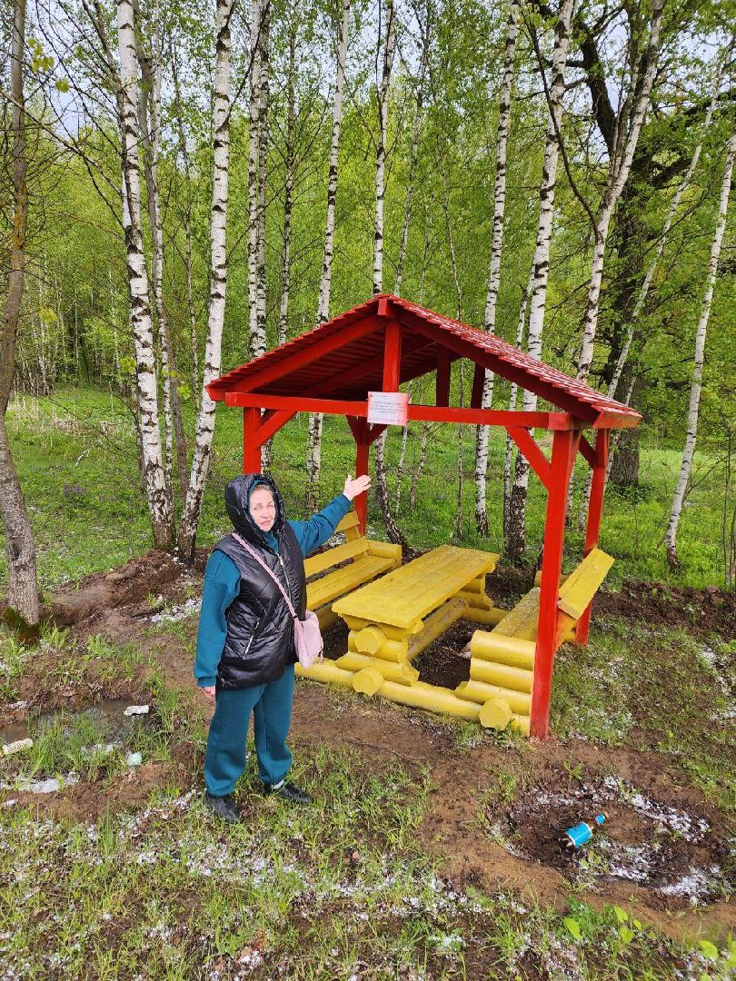 чехов, общество, зона для пикника, зона для отдыха, лесничество,