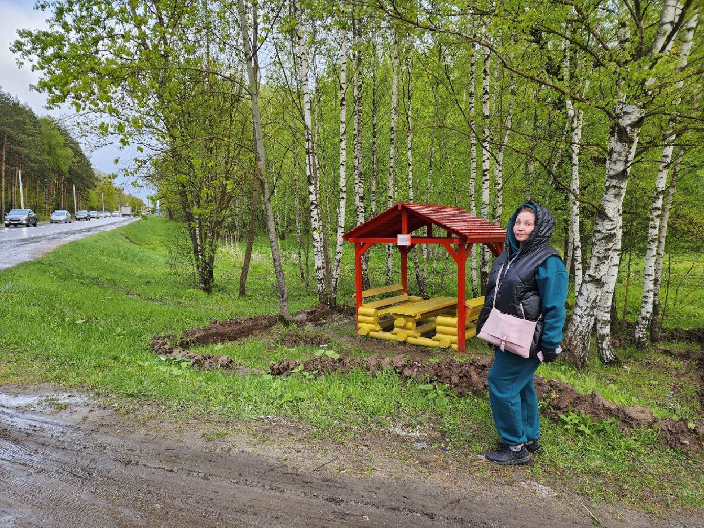 чехов, общество, зона для пикника, зона для отдыха, лесничество,