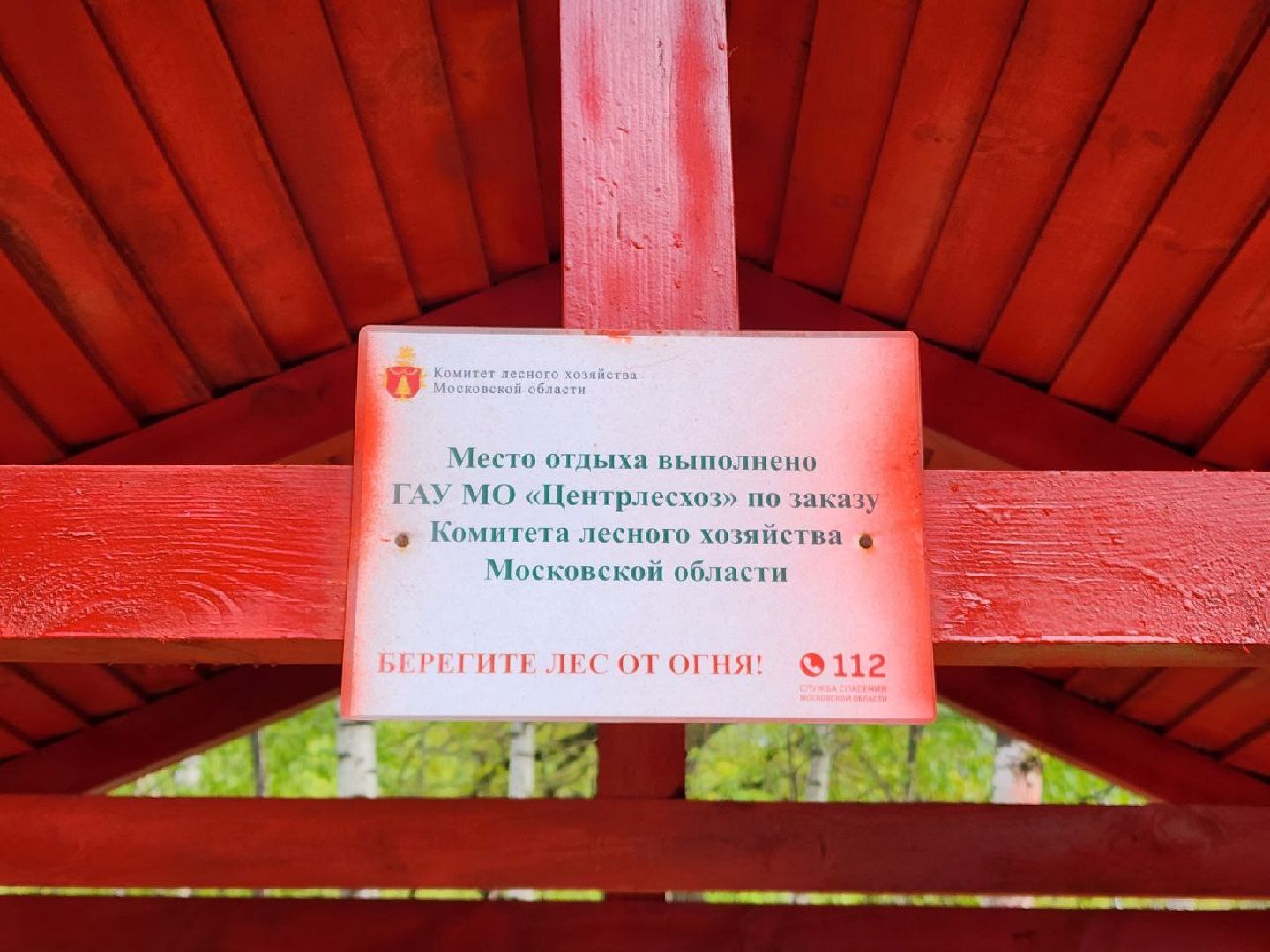 чехов, общество, зона для пикника, зона для отдыха, лесничество,