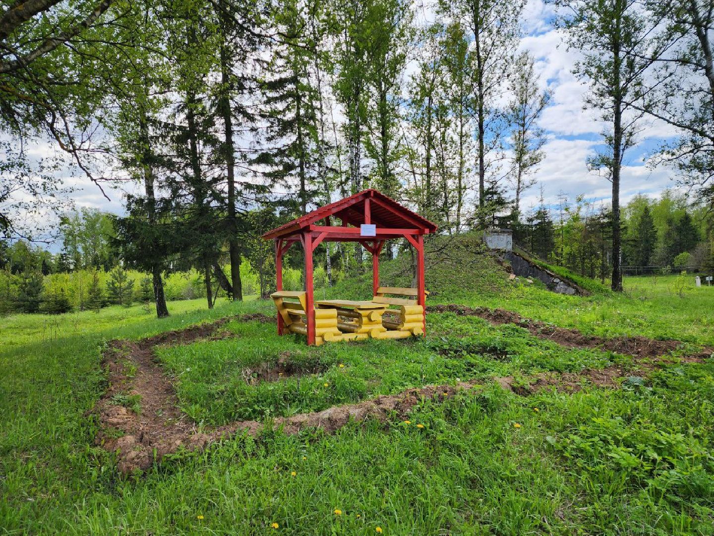 чехов, общество, зона для пикника, зона для отдыха, лесничество,