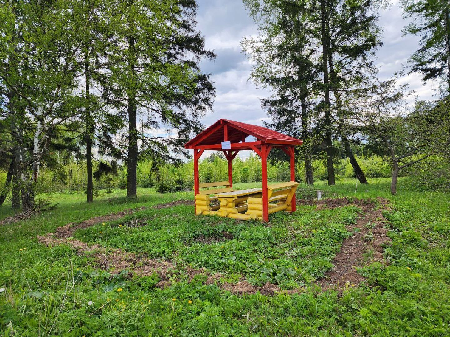 чехов, общество, зона для пикника, зона для отдыха, лесничество,