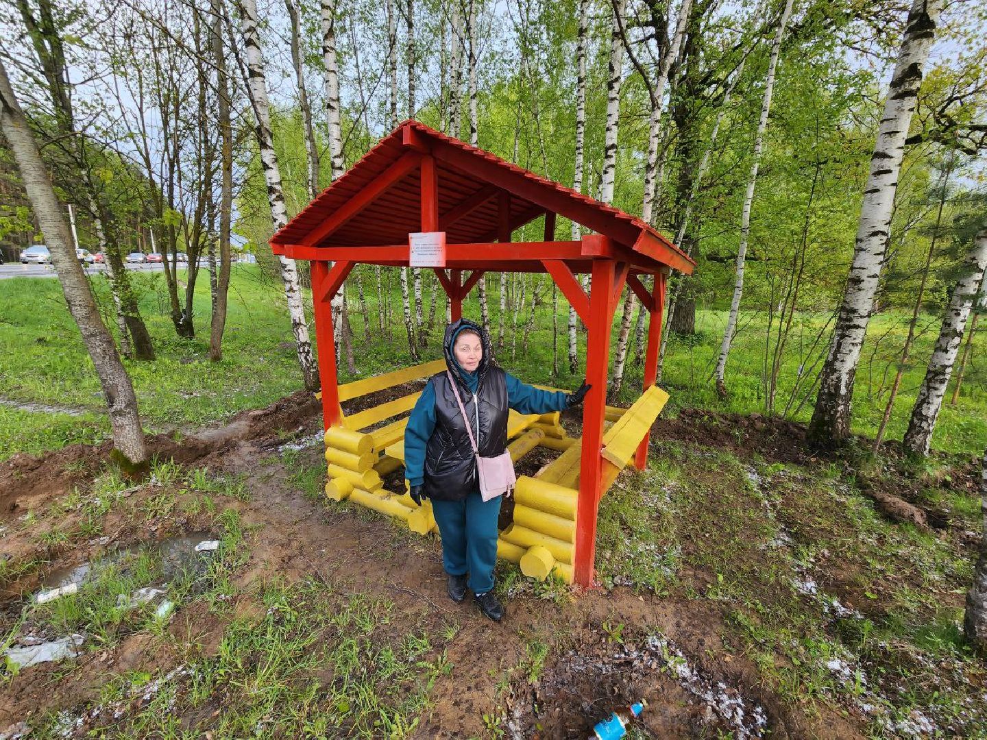 чехов, общество, зона для пикника, зона для отдыха, лесничество,