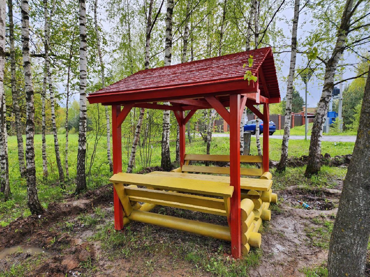 чехов, общество, зона для пикника, зона для отдыха, лесничество,