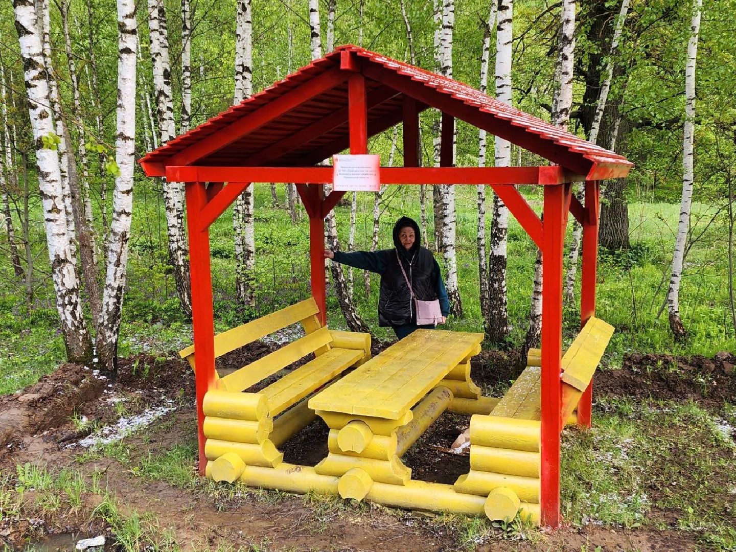 чехов, общество, зона для пикника, зона для отдыха, лесничество,