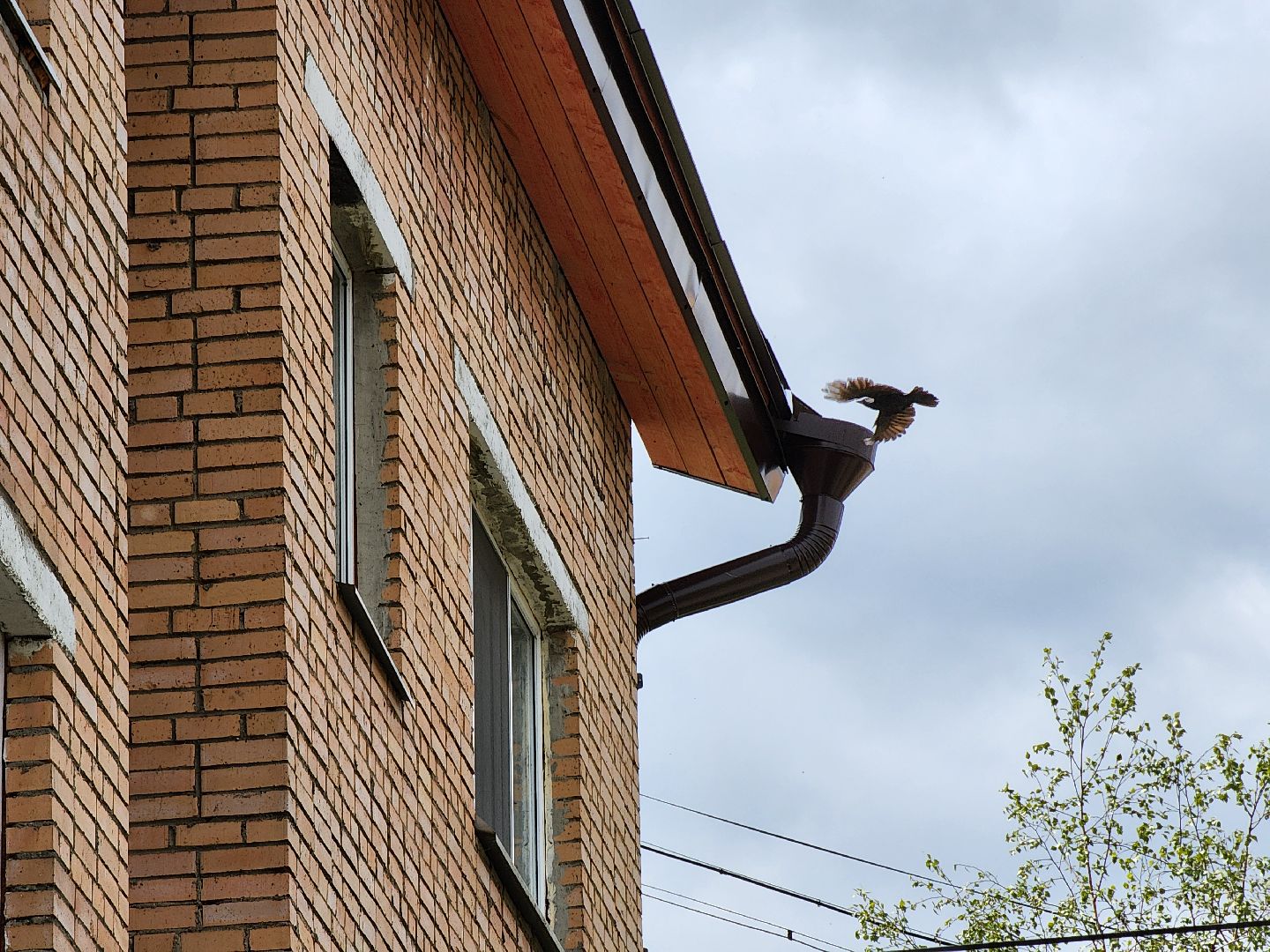 мкд, ремонт крыши, капитальный ремонт крыши, руза скорбит, рузский городской округ, московская область, подмосковье,