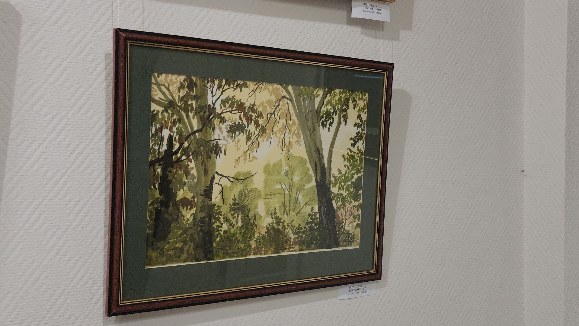 павлово-посадский городской округ, павловский посад, выстовка, культура, жители, картины,