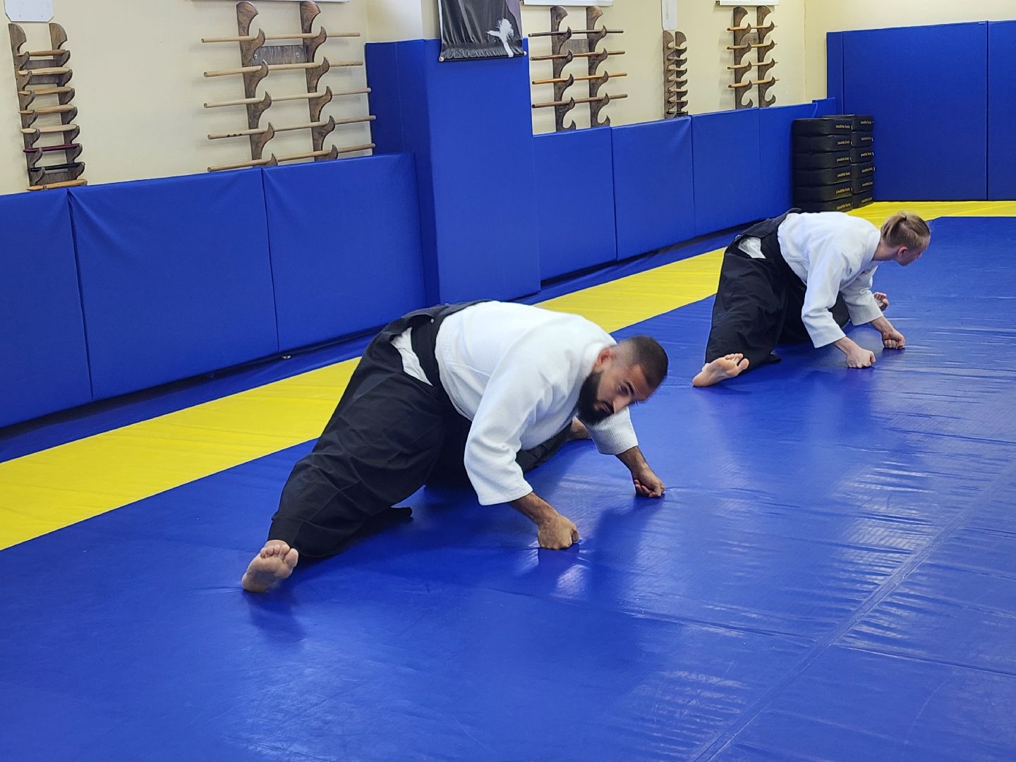 спорт в подмосковье, айкидо, год семьи, спорт для всех,