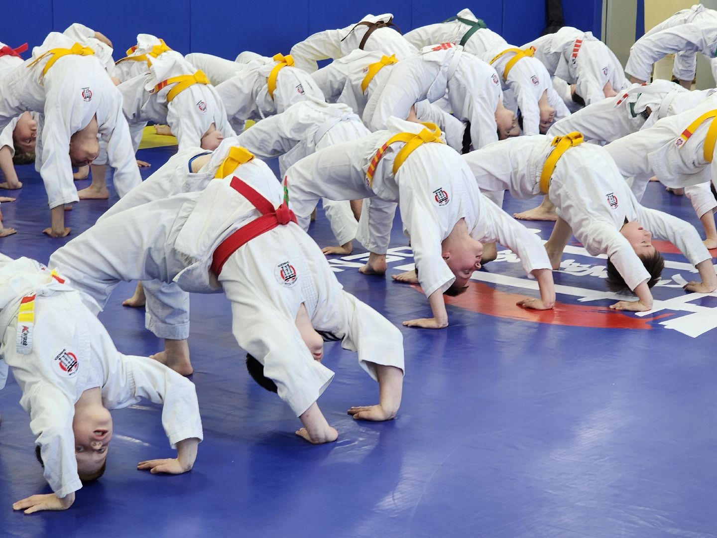 спорт в подмосковье, айкидо, год семьи, спорт для всех,