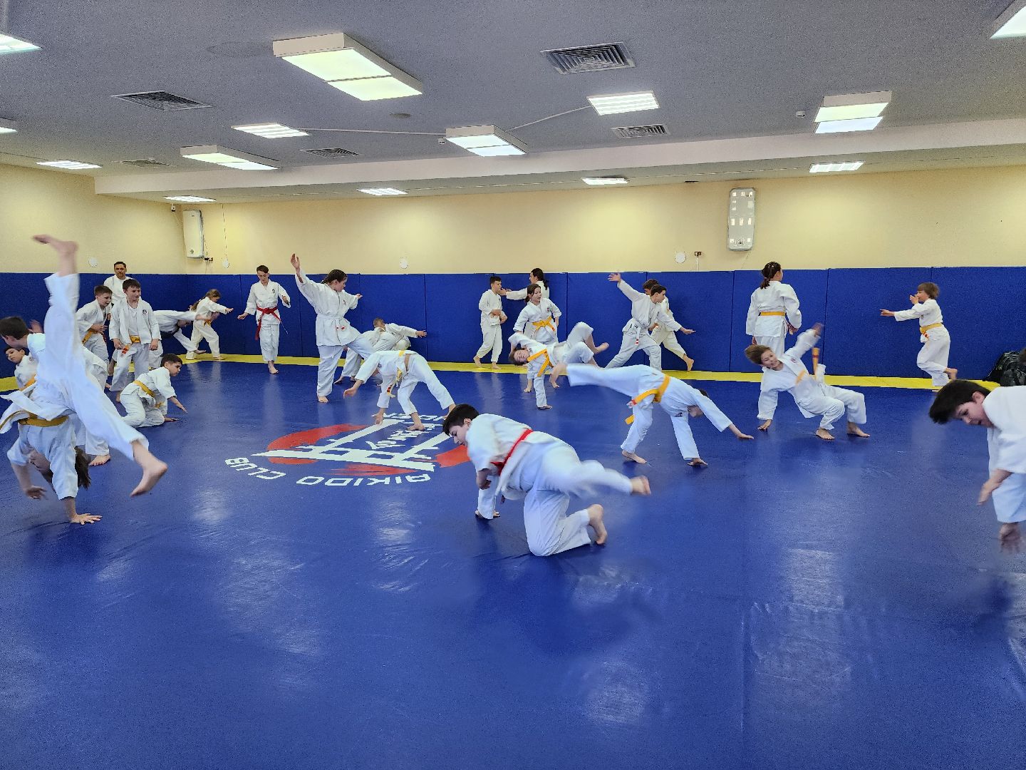 спорт в подмосковье, айкидо, год семьи, спорт для всех,