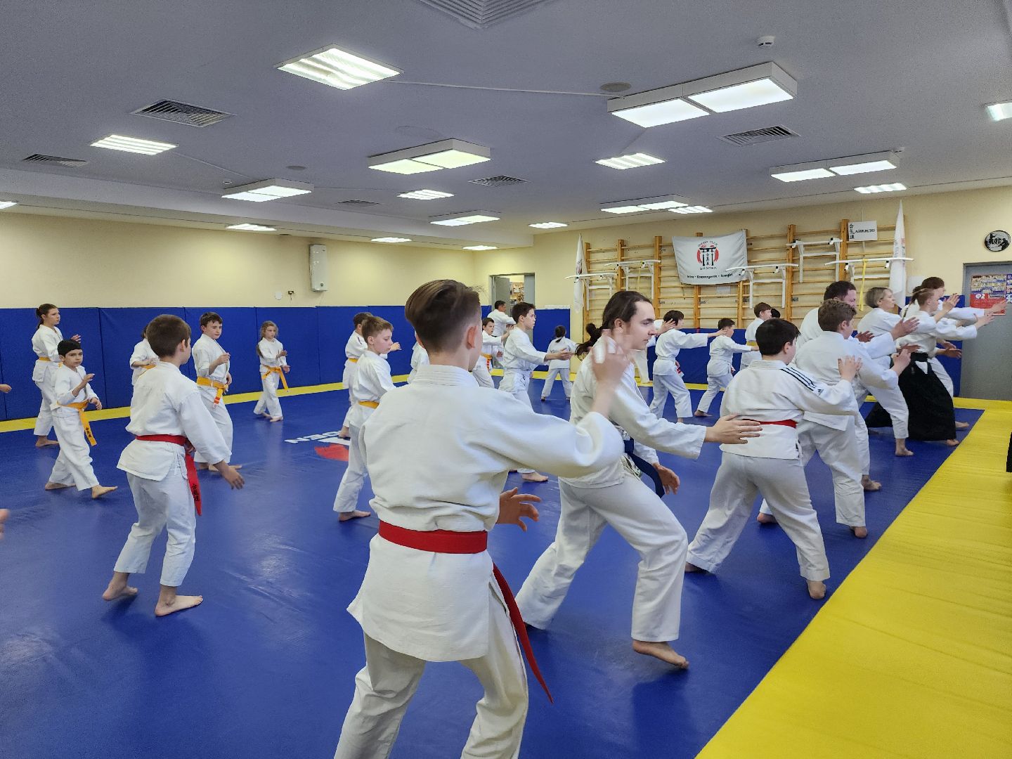 спорт в подмосковье, айкидо, год семьи, спорт для всех,