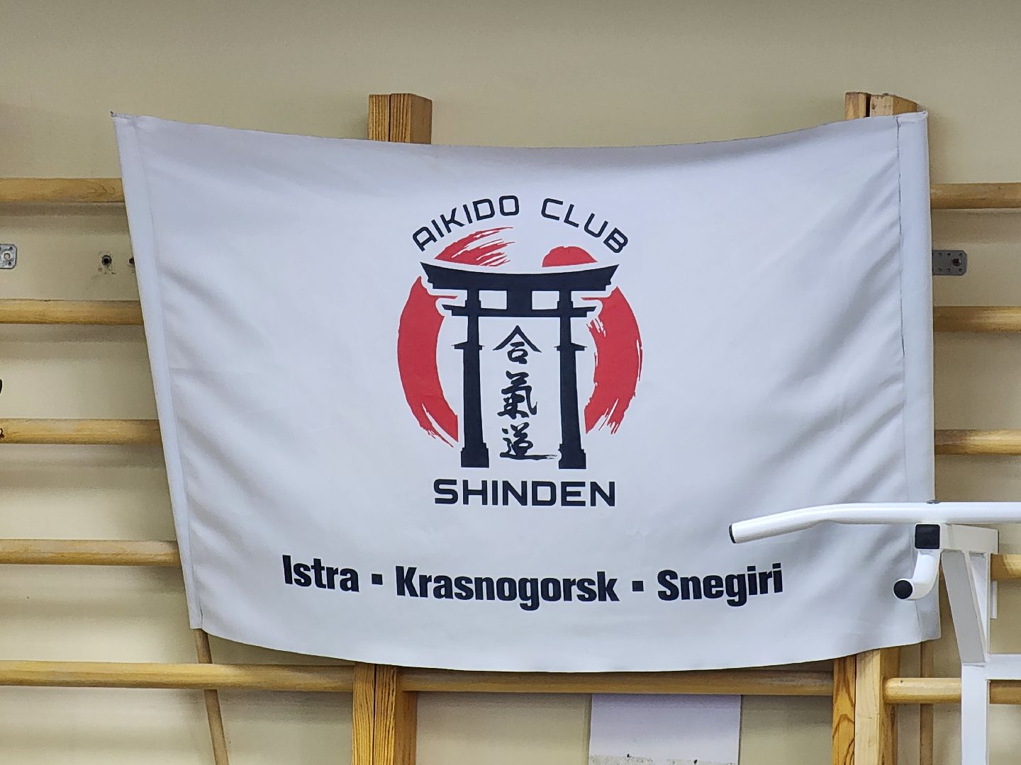 спорт в подмосковье, айкидо, год семьи, спорт для всех,