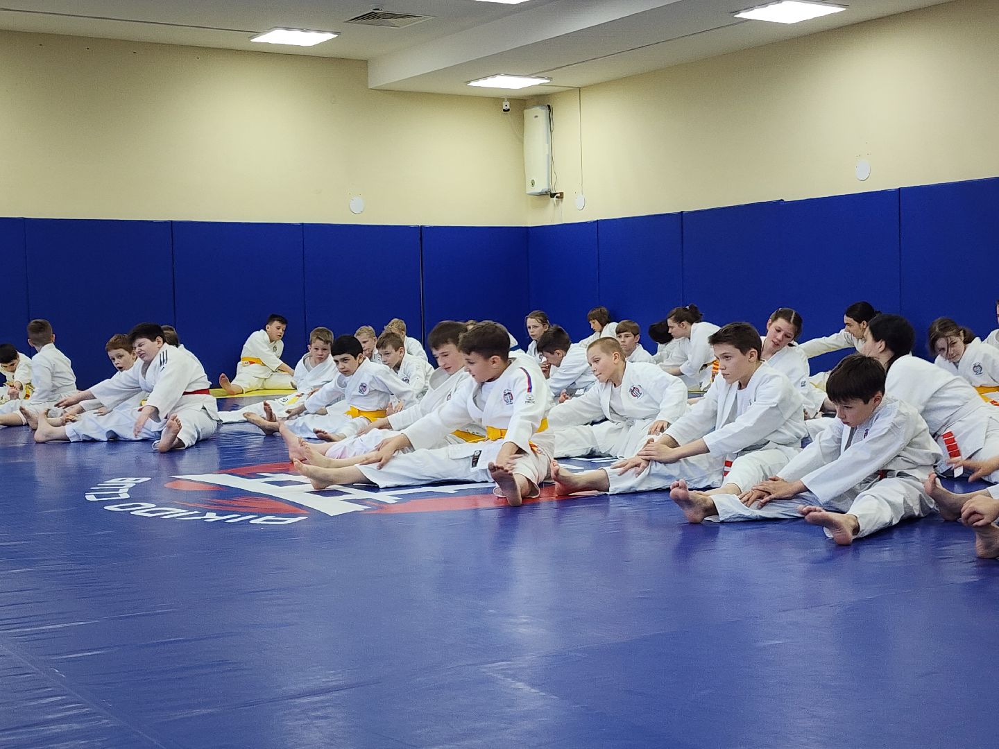 спорт в подмосковье, айкидо, год семьи, спорт для всех,