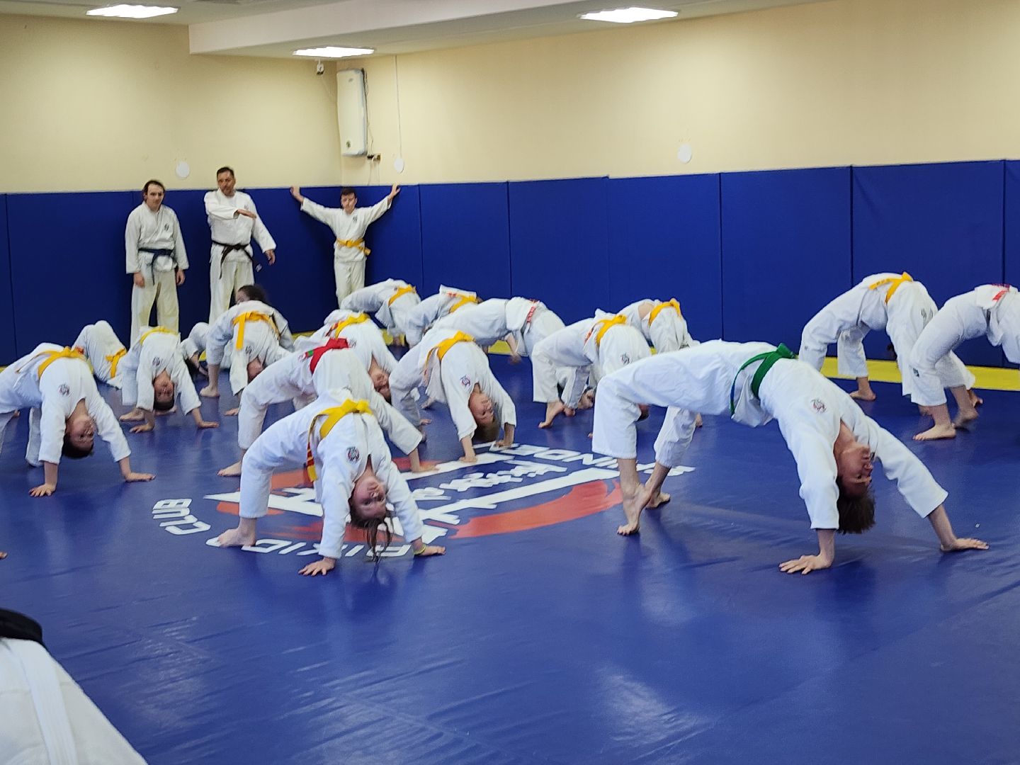 спорт в подмосковье, айкидо, год семьи, спорт для всех,