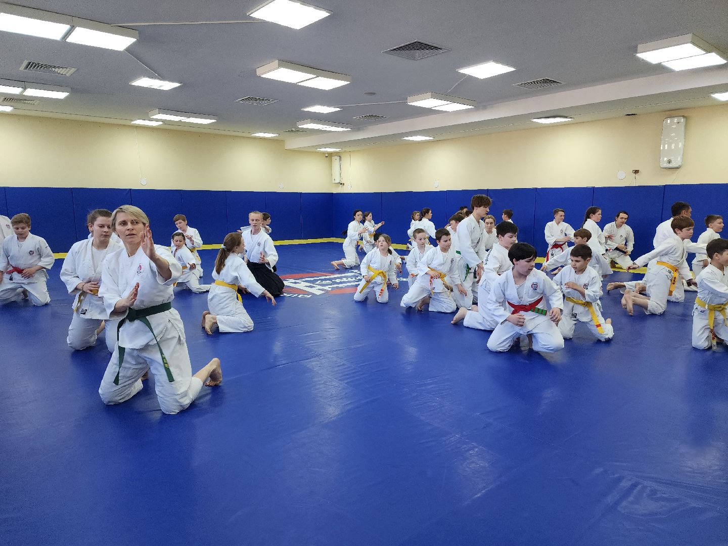 спорт в подмосковье, айкидо, год семьи, спорт для всех,