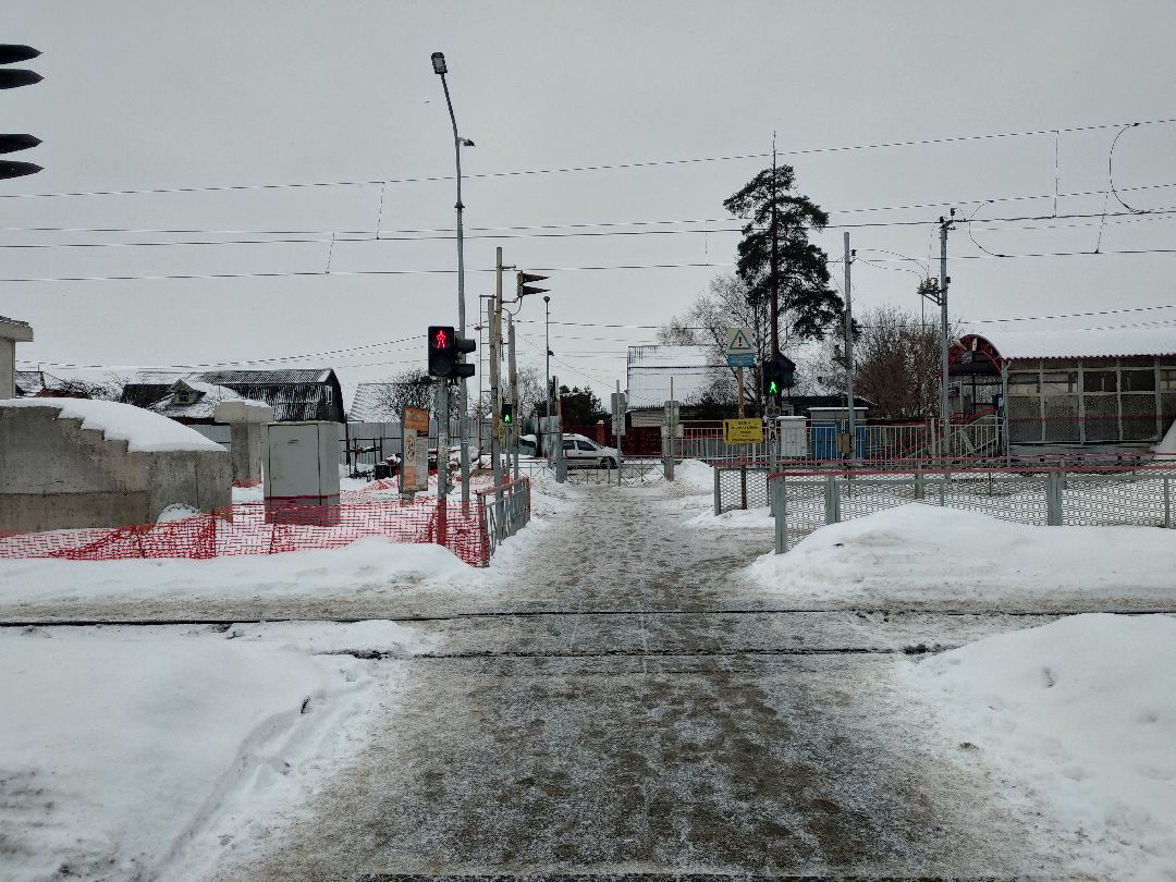 Раменское, общество