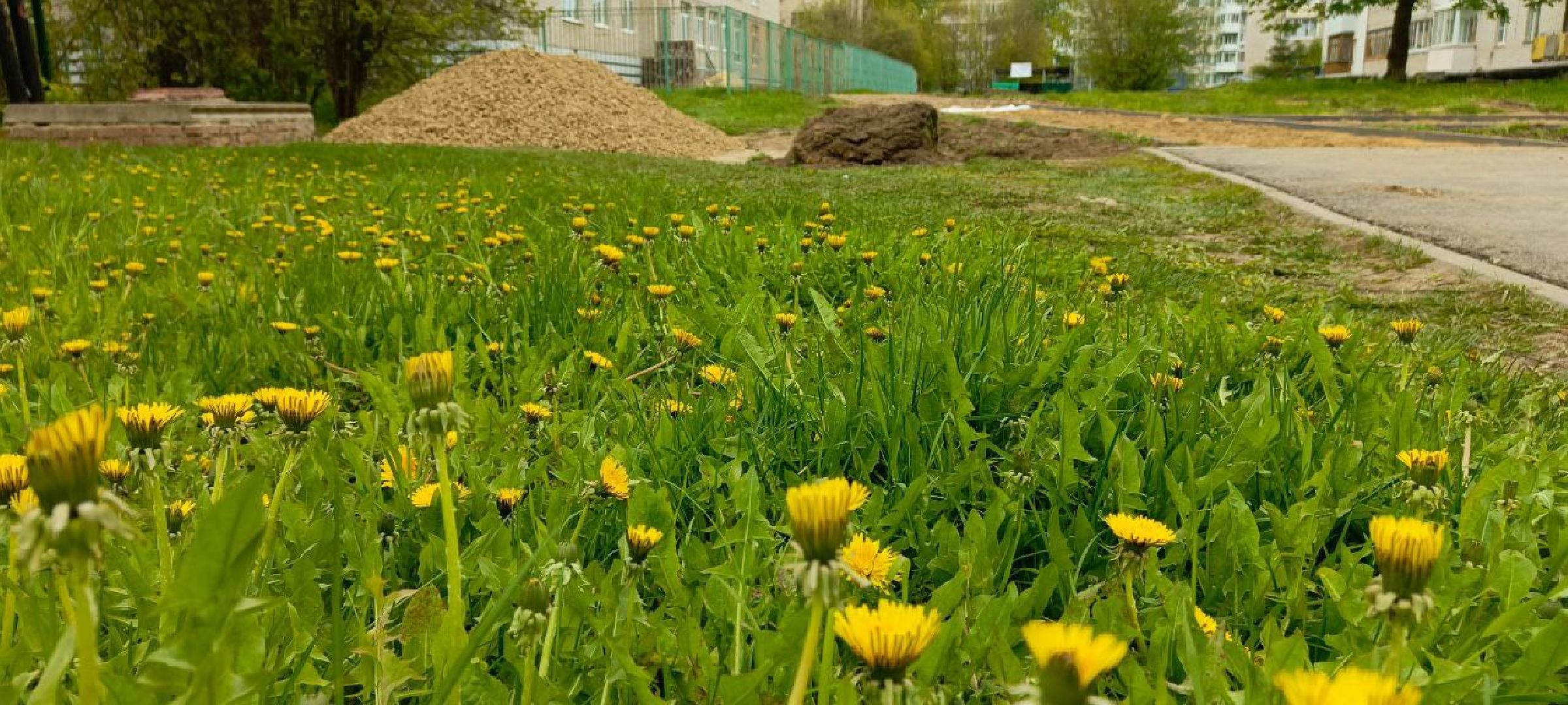 Талдом, Запрудня, Народные тропы,