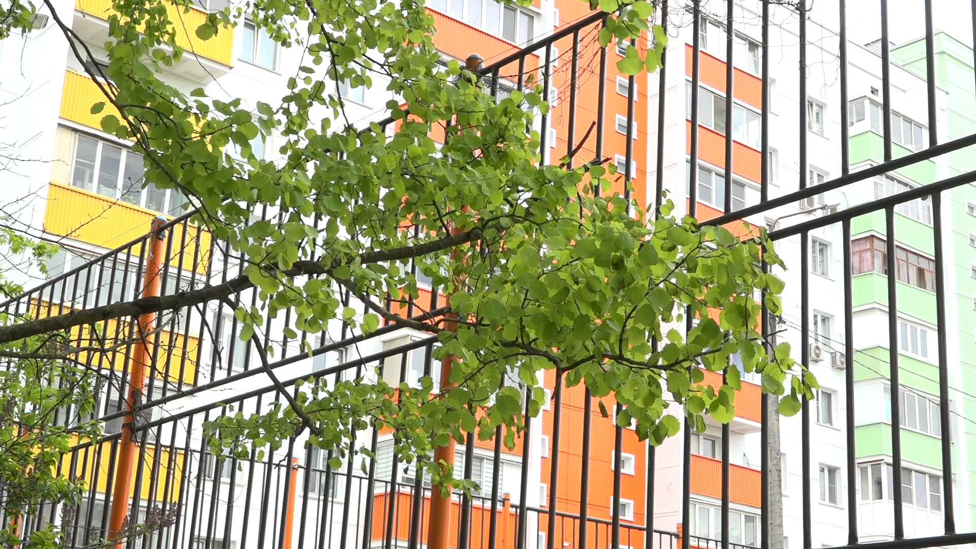 спорт во Власихе, футбольное поле, спортивная площадка Власиха, футбол во Власихе, спортплощадки Власиха,