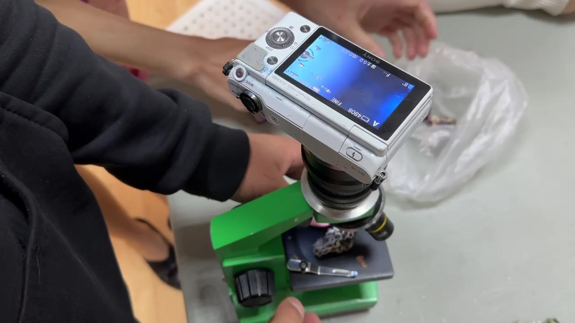 Реутов, музей, выставка, микрофото,