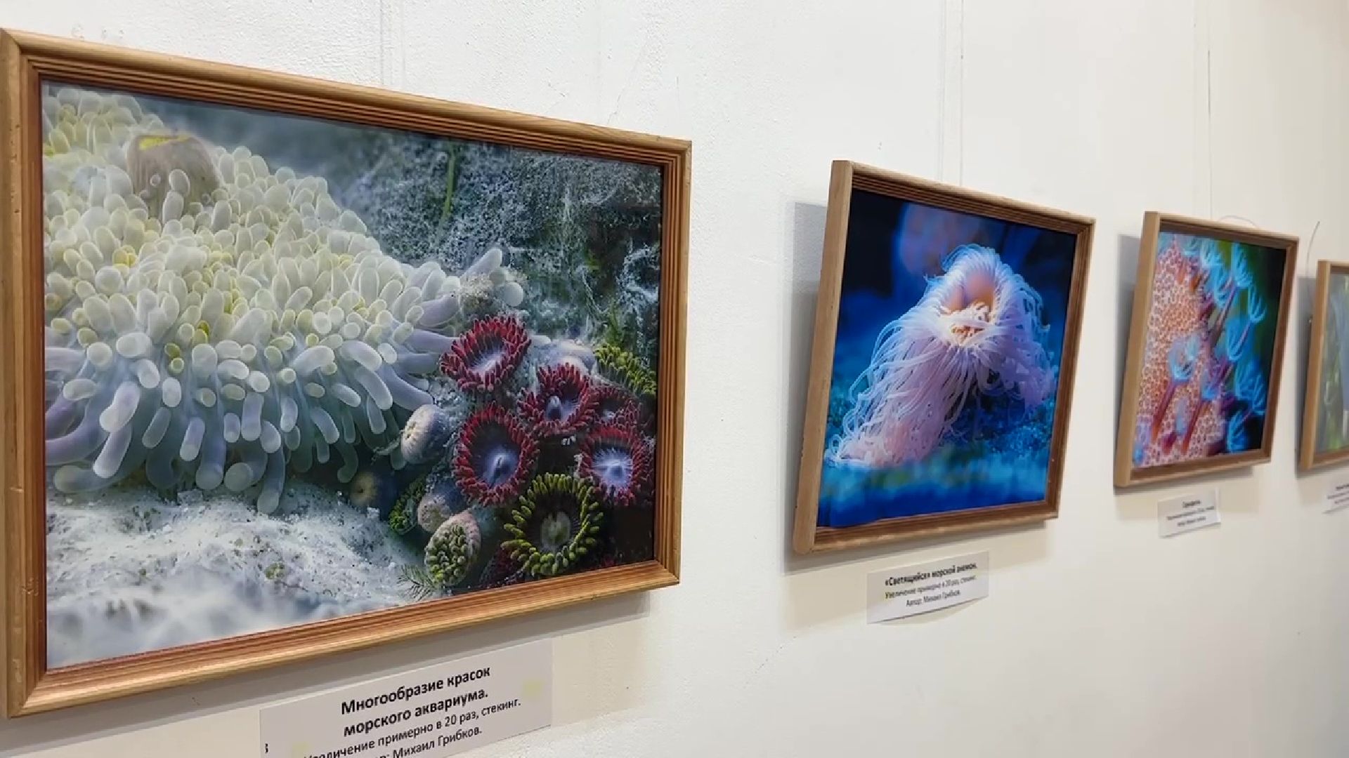 Реутов, музей, выставка, микрофото,