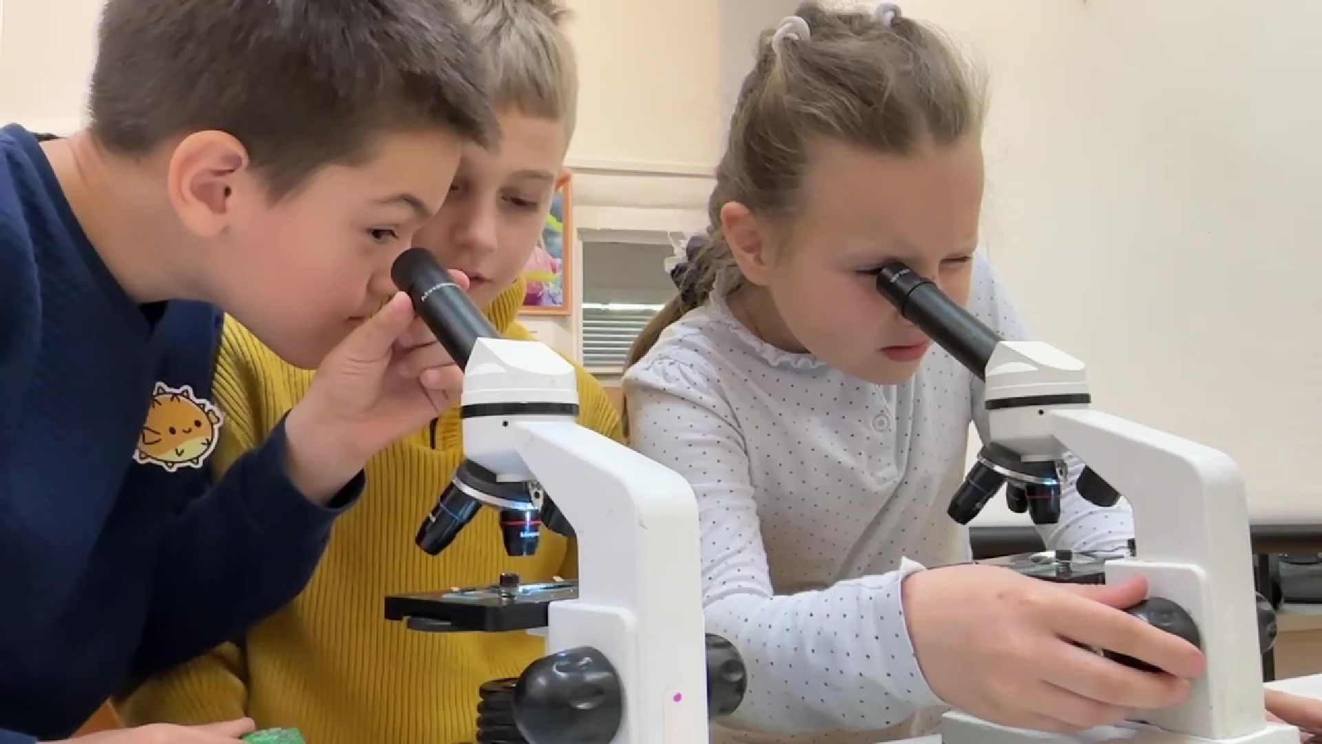 Реутов, музей, выставка, микрофото,