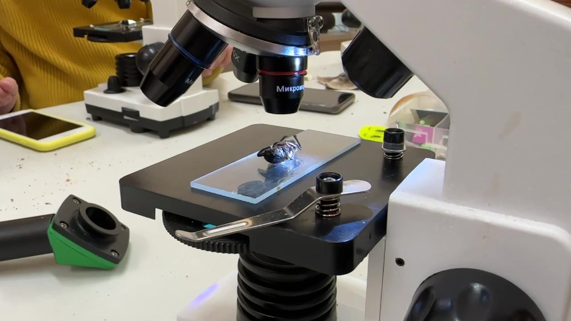 Реутов, музей, выставка, микрофото,