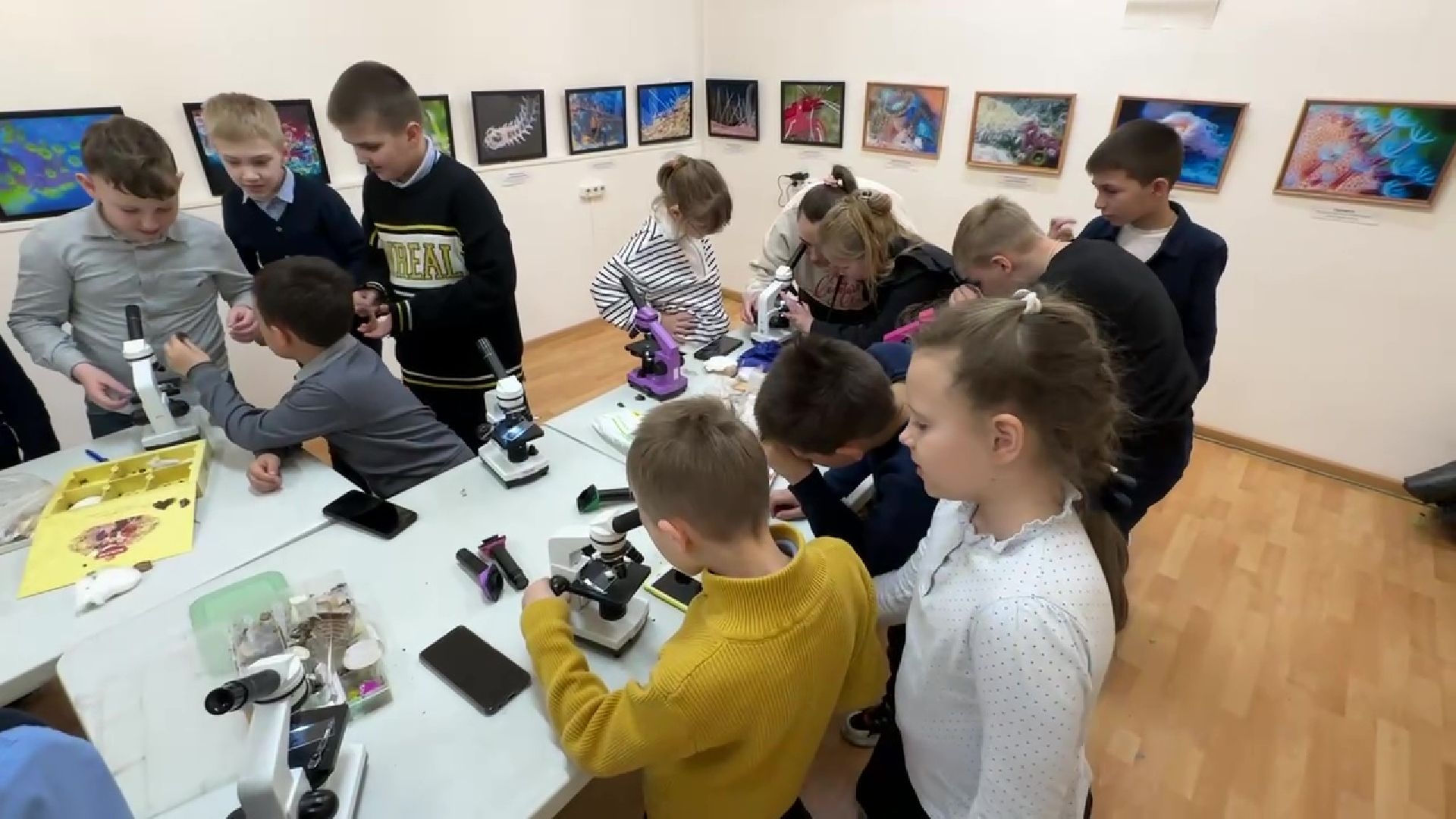 Реутов, музей, выставка, микрофото,