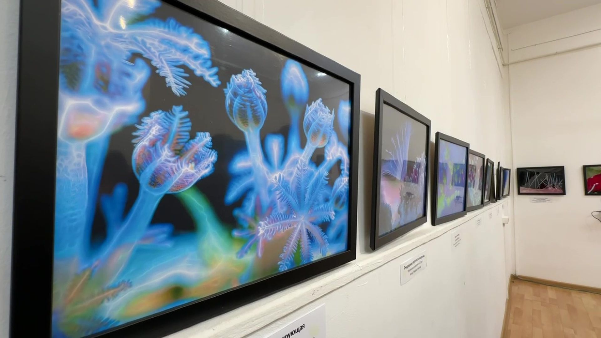 Реутов, музей, выставка, микрофото,