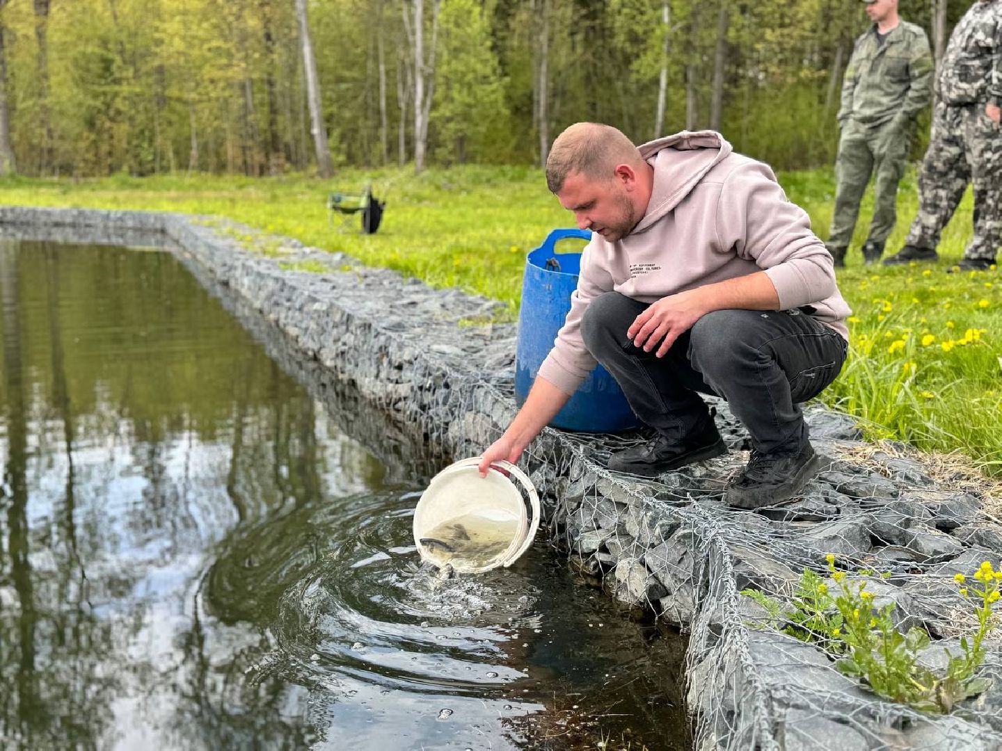 рыбхоз, рыба, пруд, городской округ Восход,