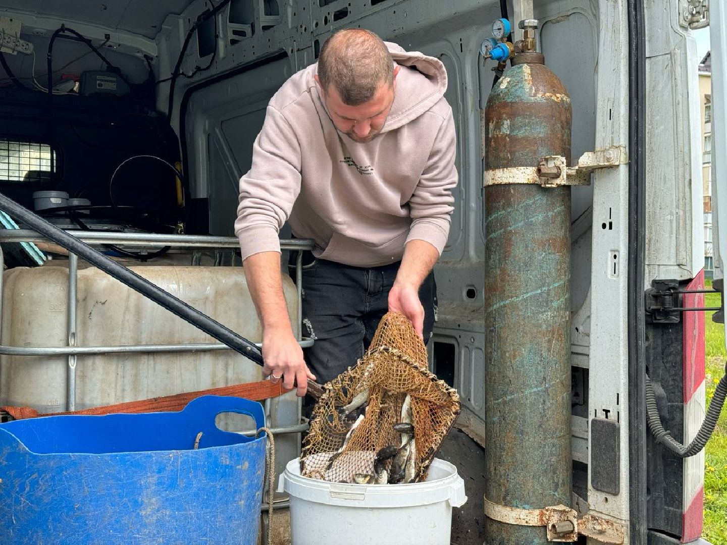 рыбхоз, рыба, пруд, городской округ Восход,