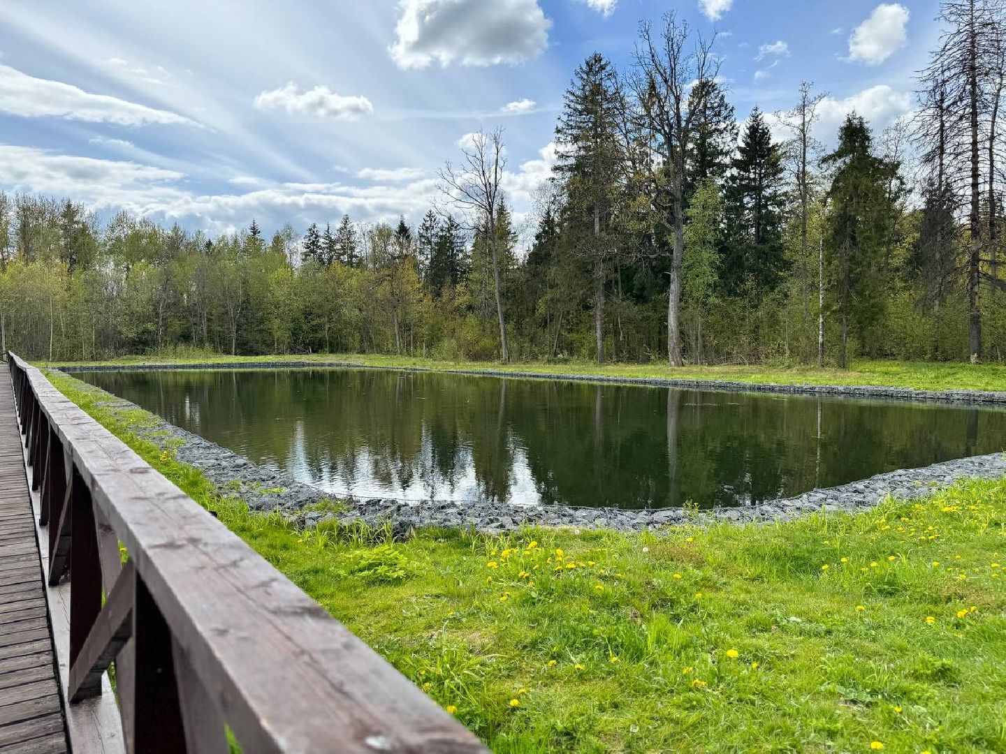 рыбхоз, рыба, пруд, городской округ Восход,