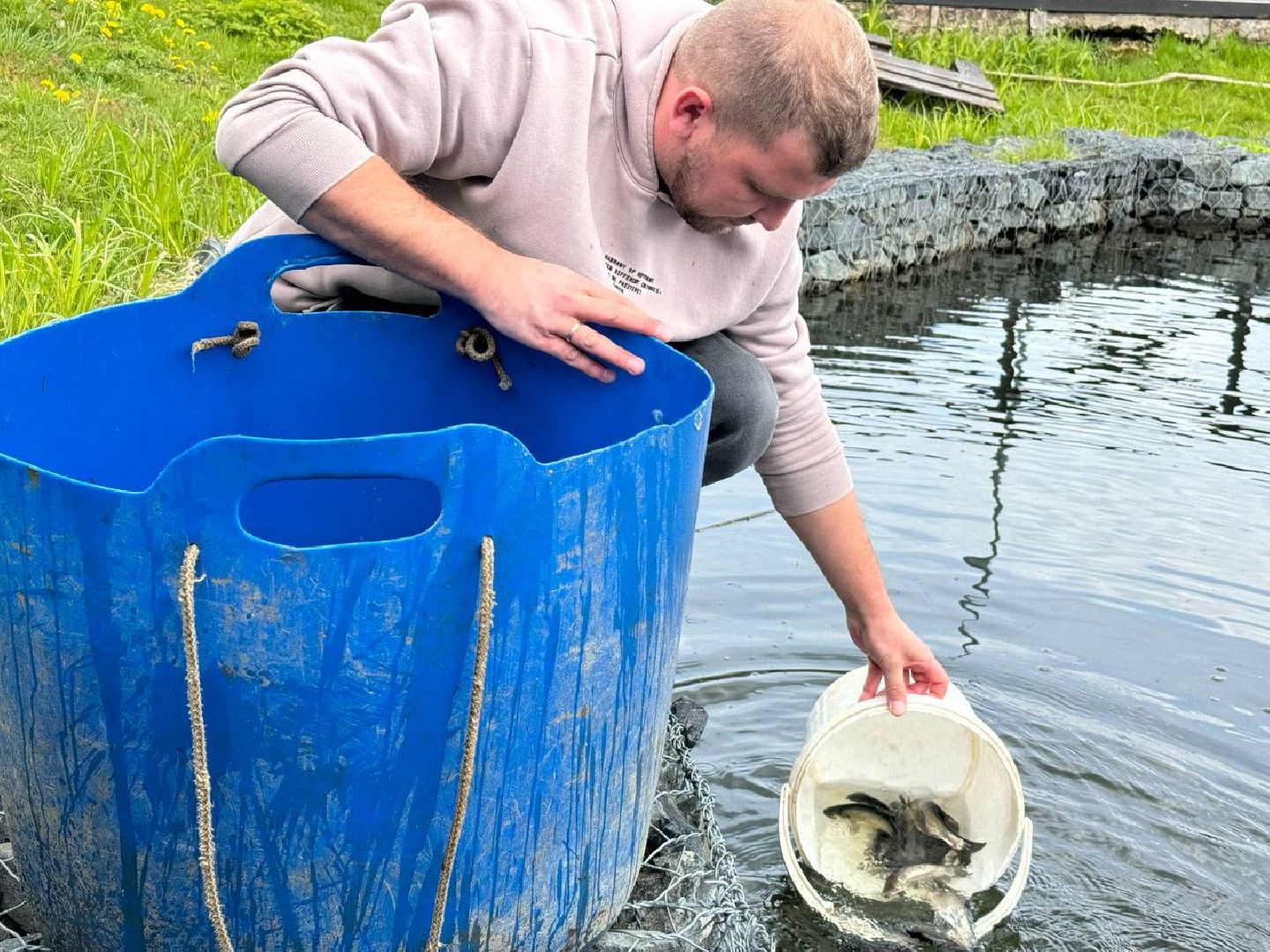 рыбхоз, рыба, пруд, городской округ Восход,
