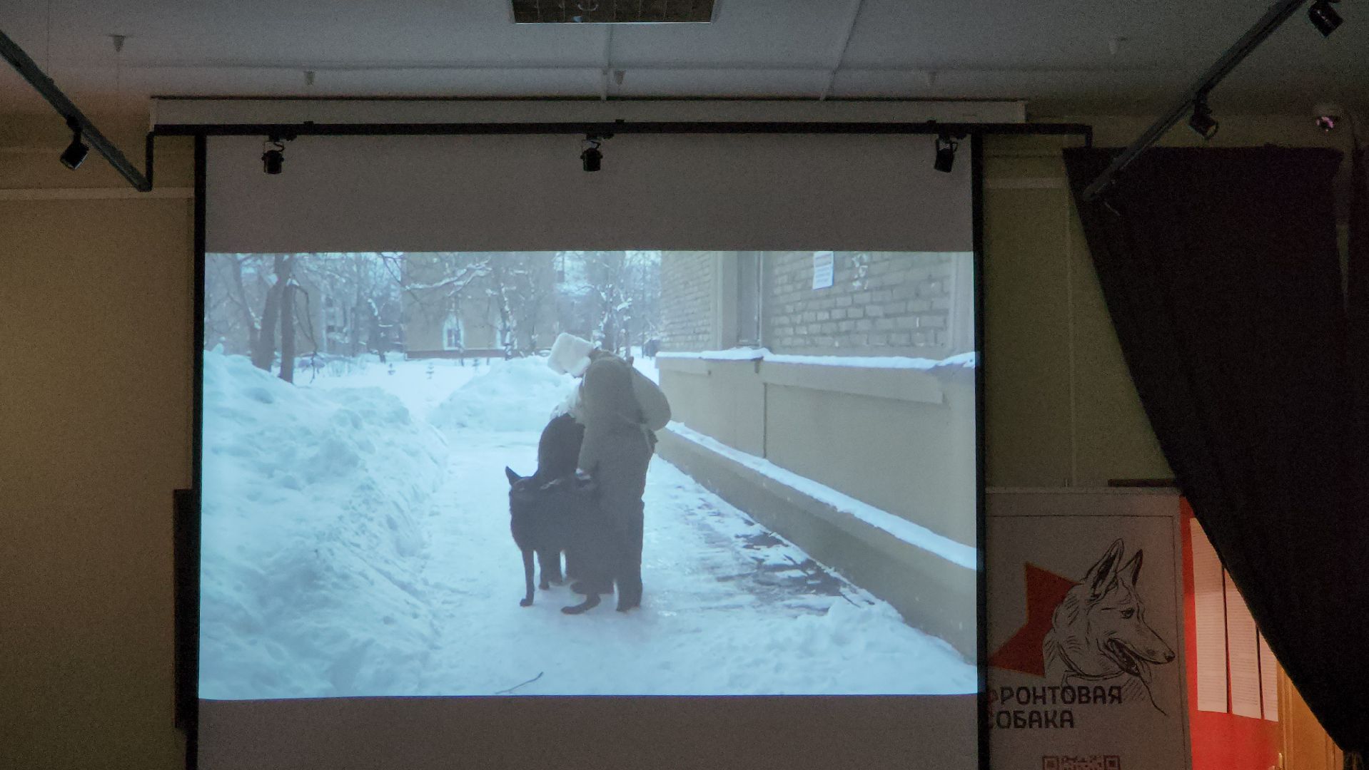 долгопрудный, Долгопрудненский музей, кинологи, интерактив, фронтовая собака,