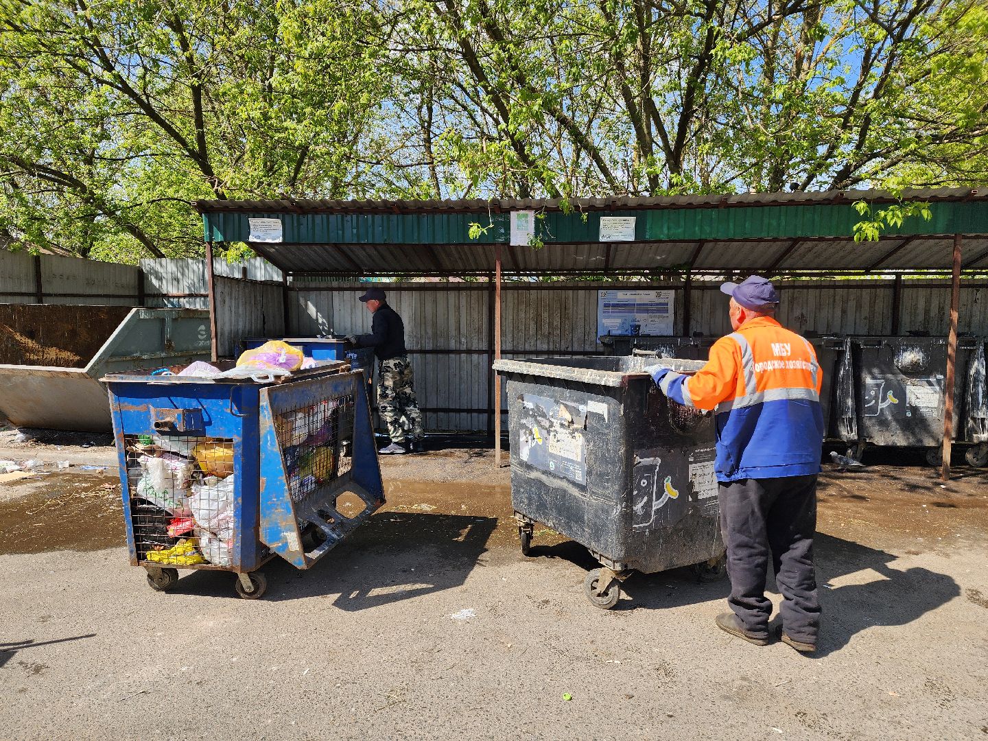 красноармейск, г.о. пушкинский, контейнерная площадка, влажная уборка,