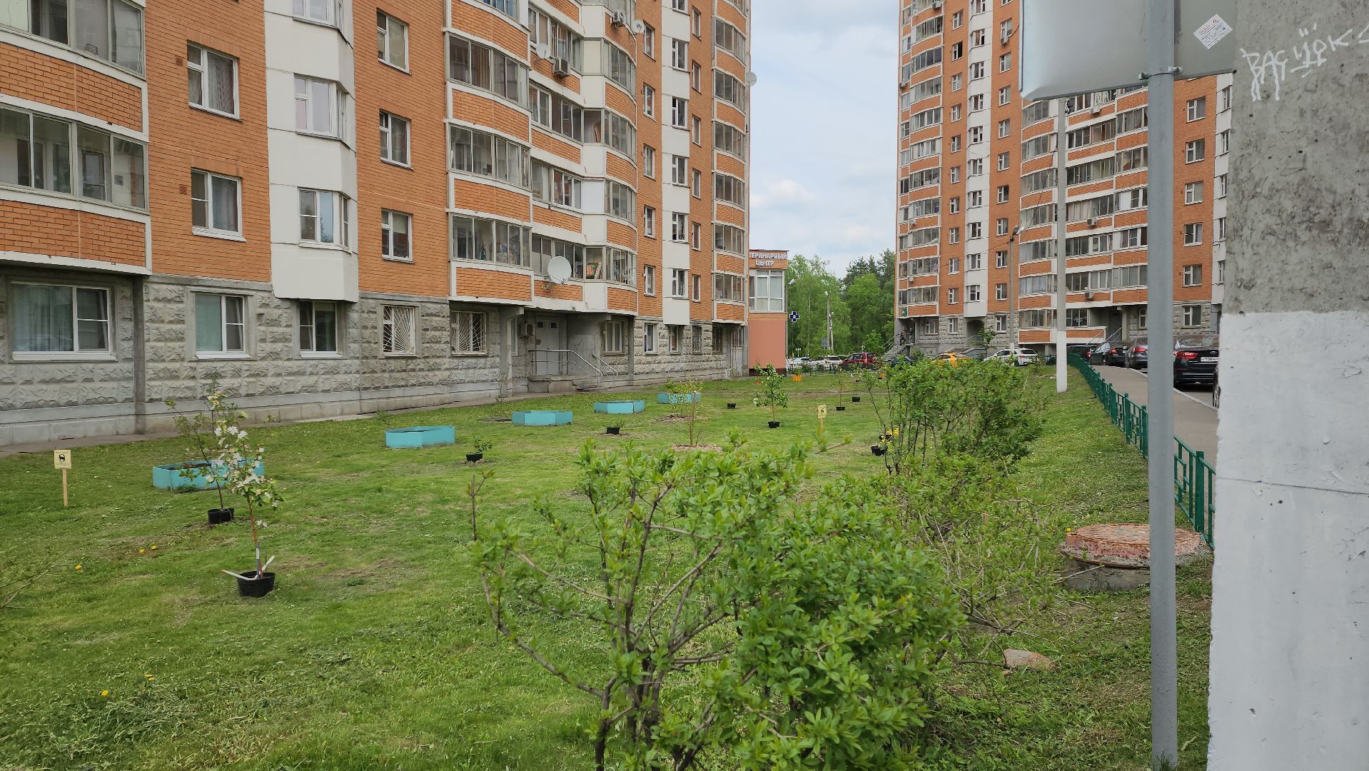 выездная администрация, благоустройство, озеленение двора,