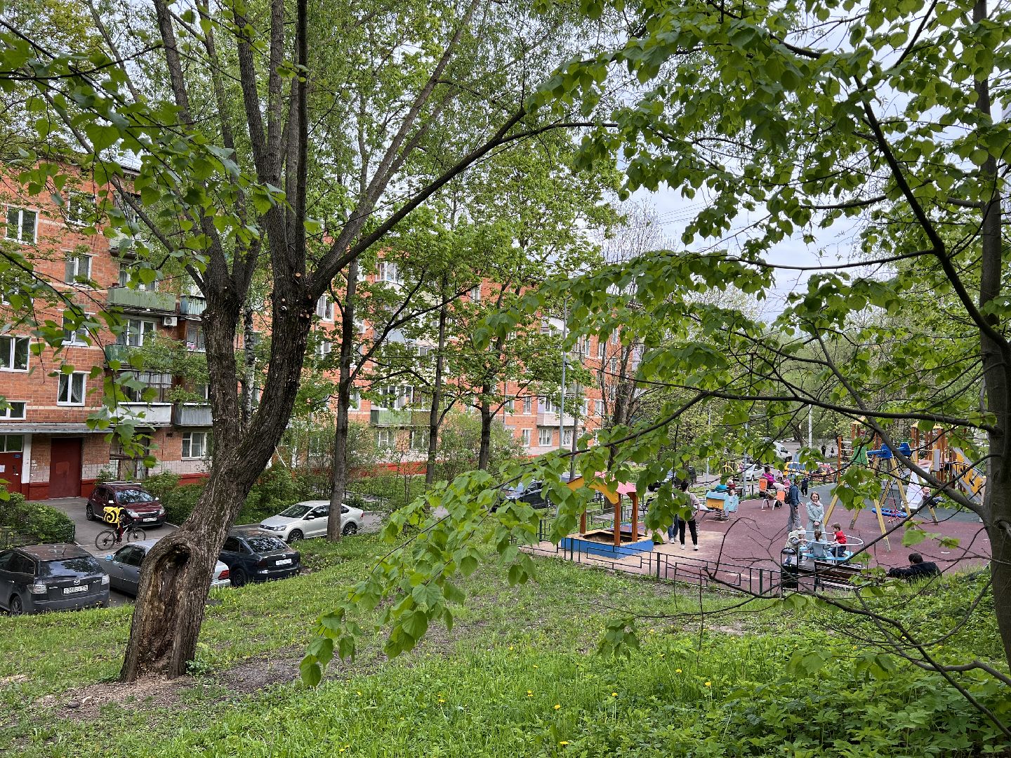 химки, выездная администрация, благоустройство, обращение жителей,