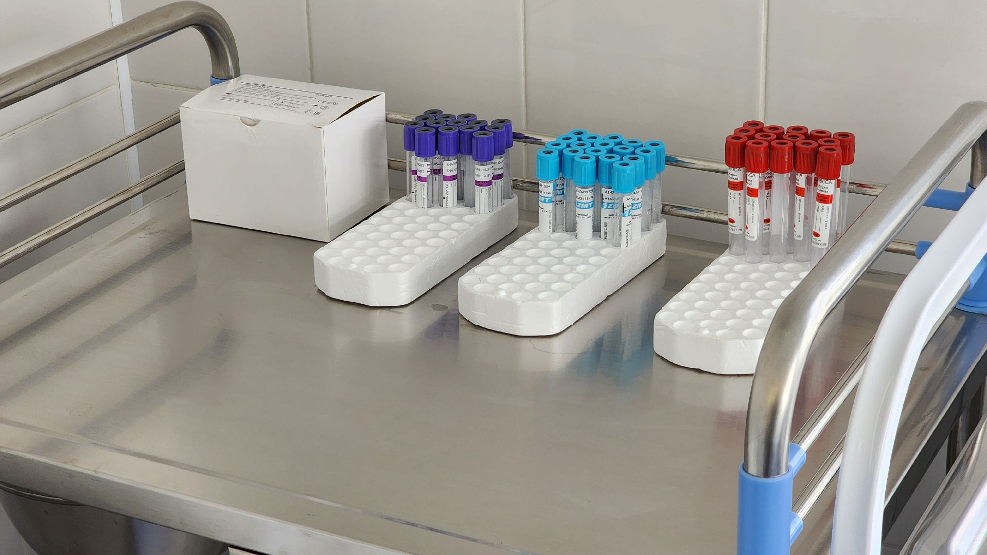 Егорьевск, Подмосковье, Московская область, ФАП, Дмитровка, медицина,