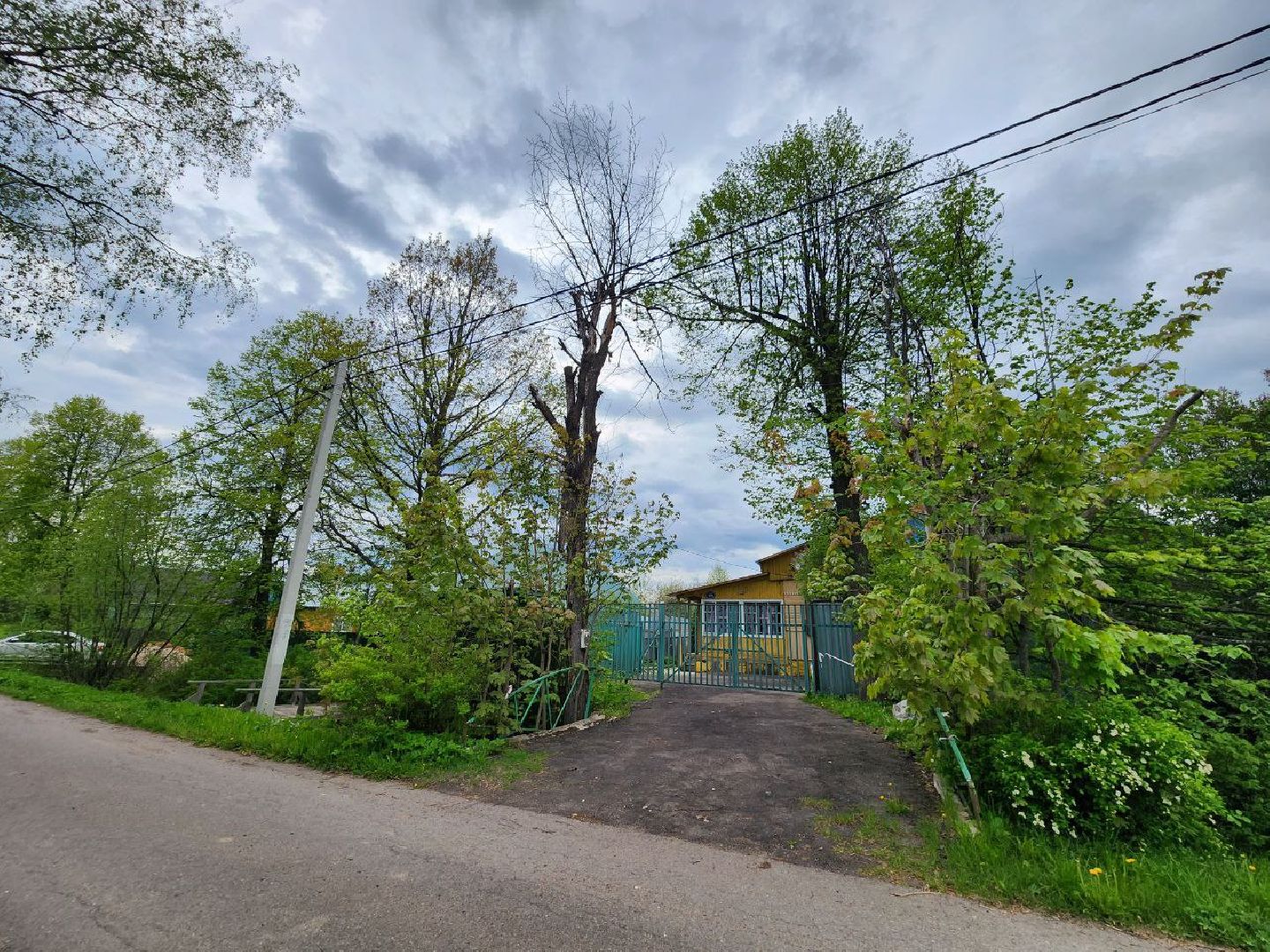 можайск, можайский городской округ, подмосковье, выездная администрация, дерево, сухостойное дерево, обращения граждан, глава муниципалитета, жители,встреча с жителями,