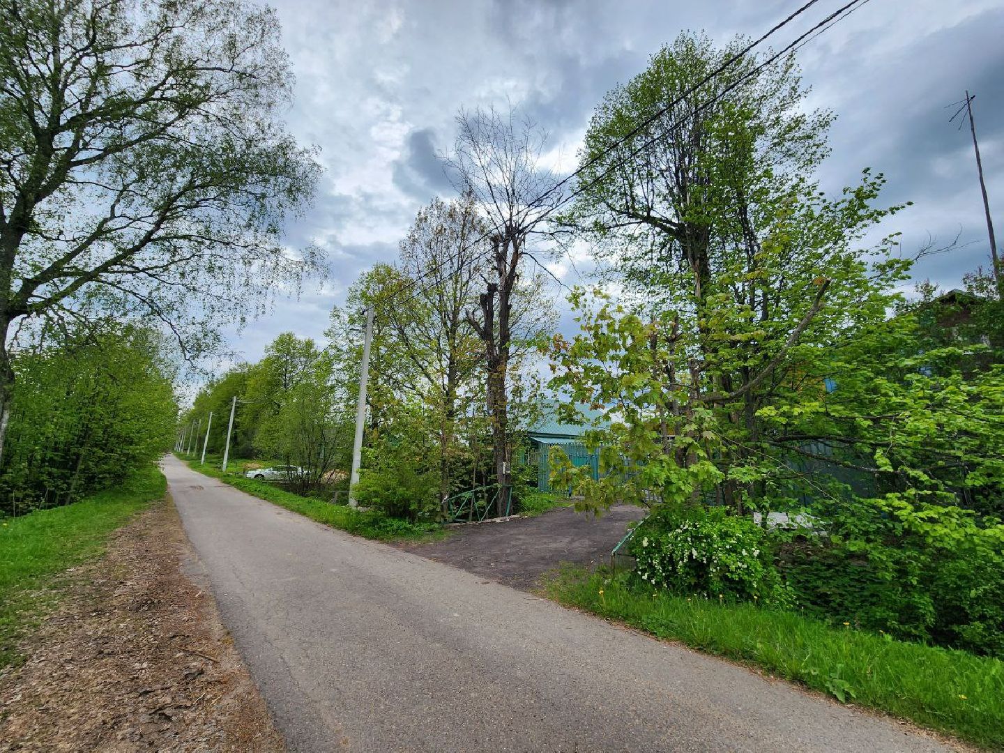 можайск, можайский городской округ, подмосковье, выездная администрация, дерево, сухостойное дерево, обращения граждан, глава муниципалитета, жители,встреча с жителями,