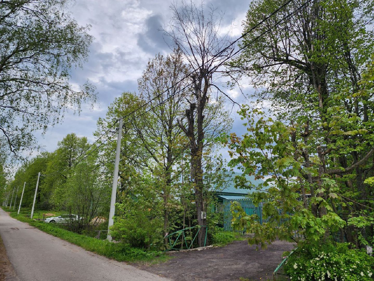 можайск, можайский городской округ, подмосковье, выездная администрация, дерево, сухостойное дерево, обращения граждан, глава муниципалитета, жители,встреча с жителями,