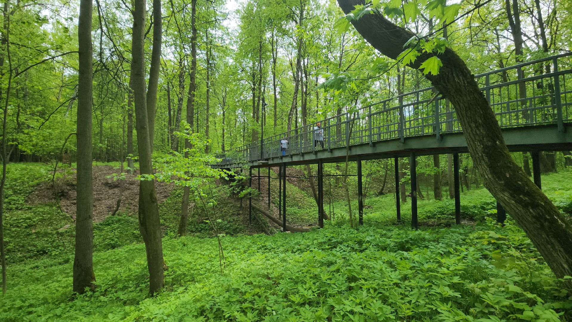 ступино, активное долголетие, спорт в подмосковье,