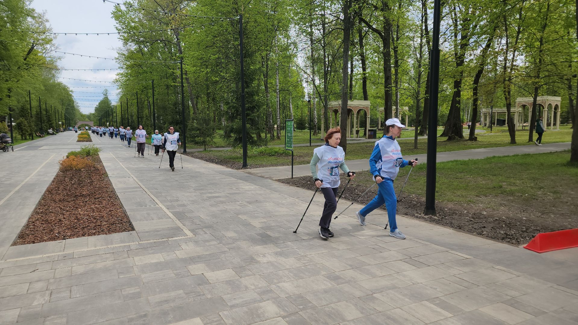 ступино, активное долголетие, спорт в подмосковье,
