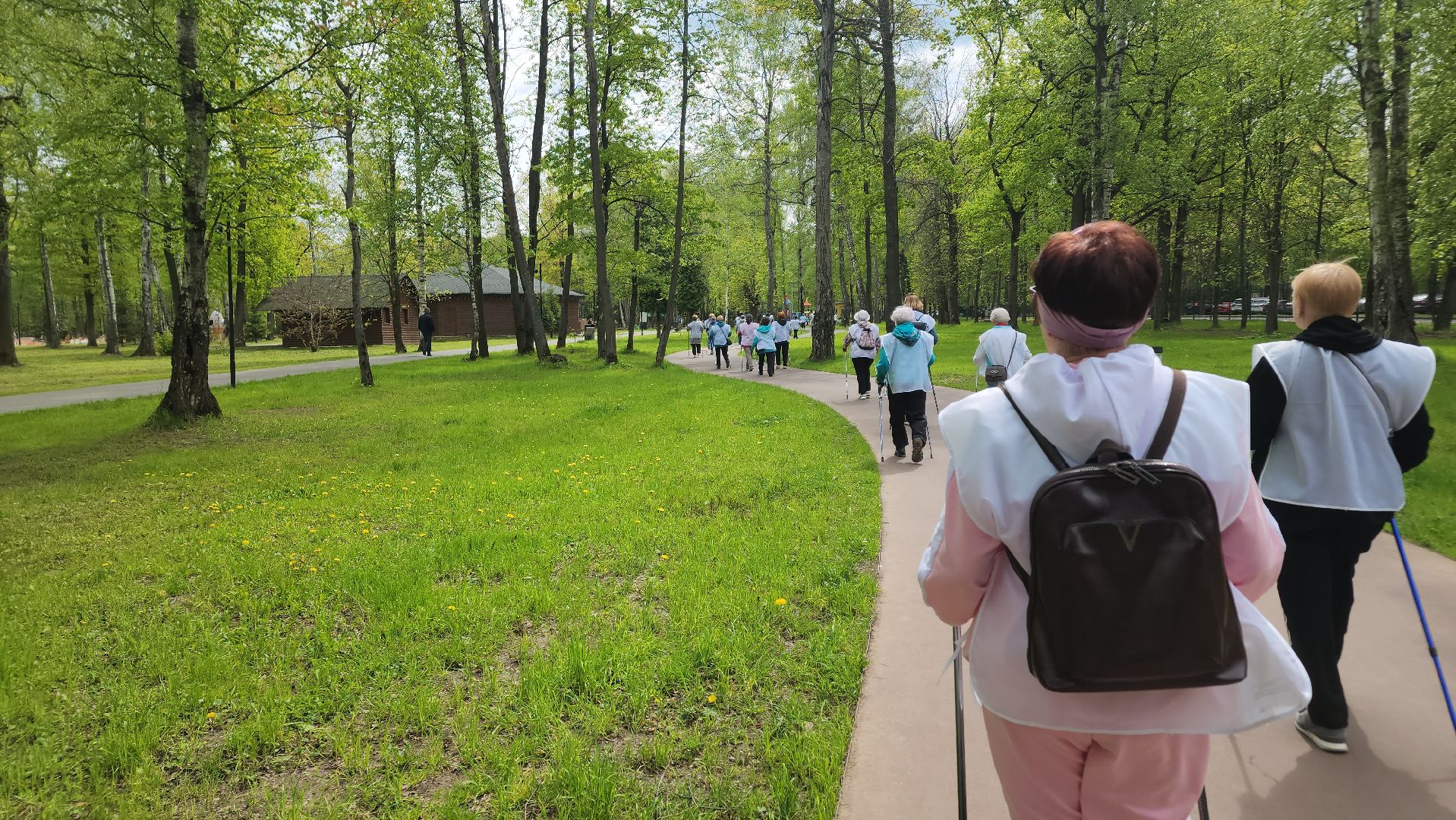 ступино, активное долголетие, спорт в подмосковье,