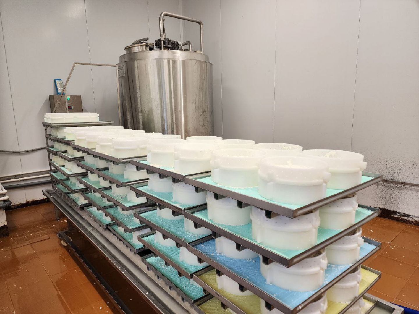 чехов, экономика, сыроварня, импортозамещение, производство,