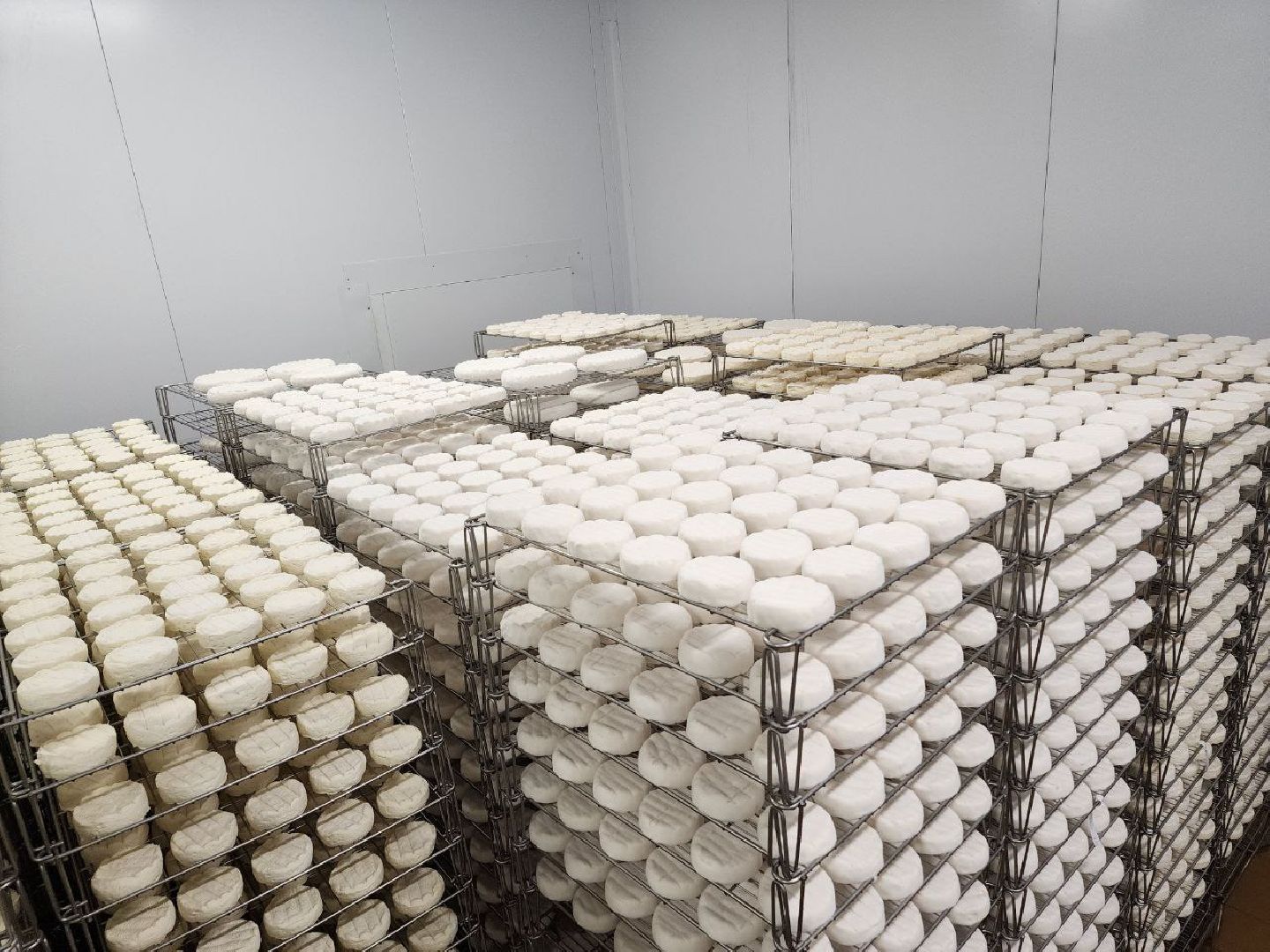 чехов, экономика, сыроварня, импортозамещение, производство,