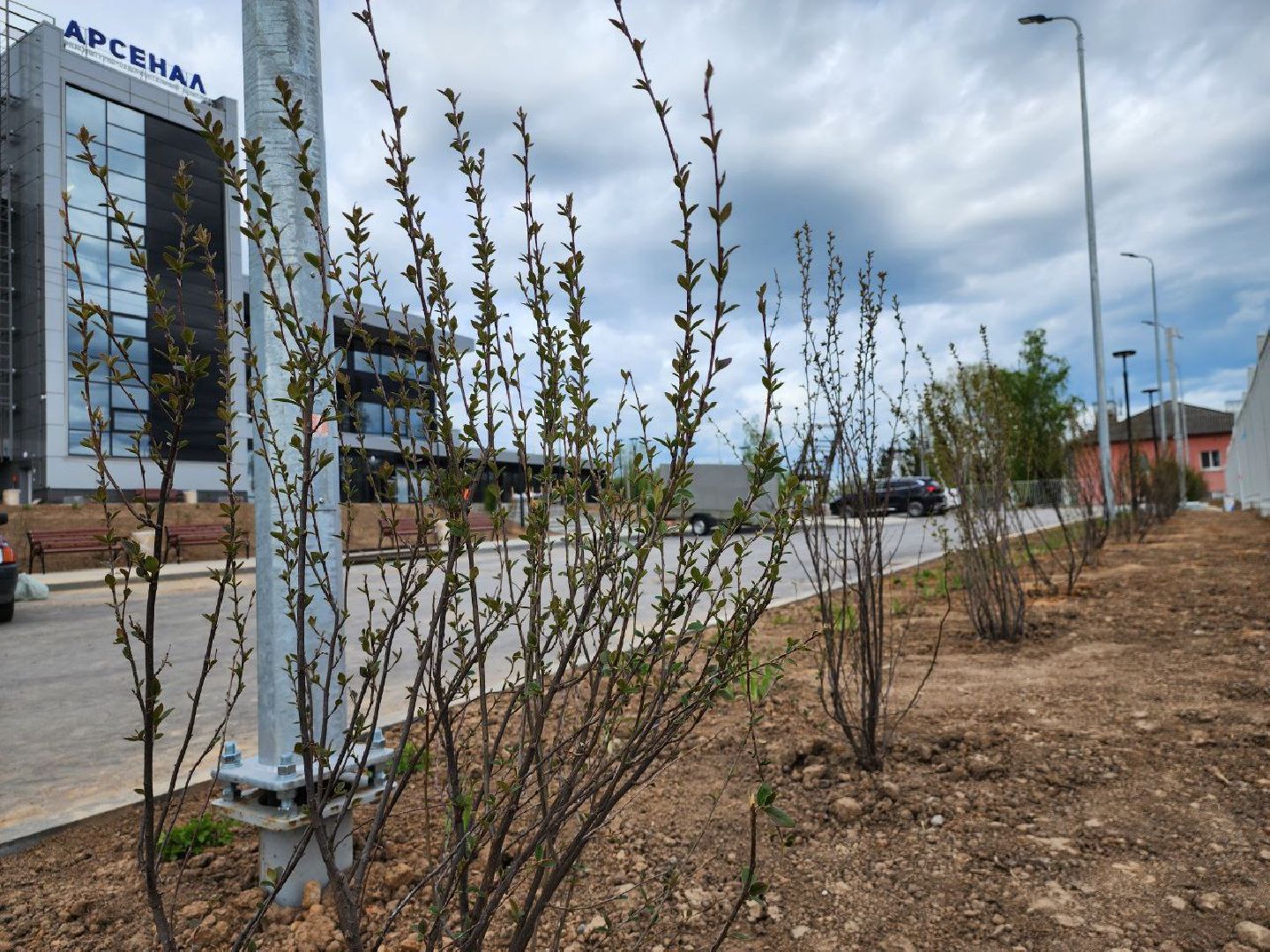 можайск, можайский городской округ, подмосковье, строительство, дворец спорта, арсенал, фок, спортивный объект, школа олимпийского резерва по самбо и дзюдо,