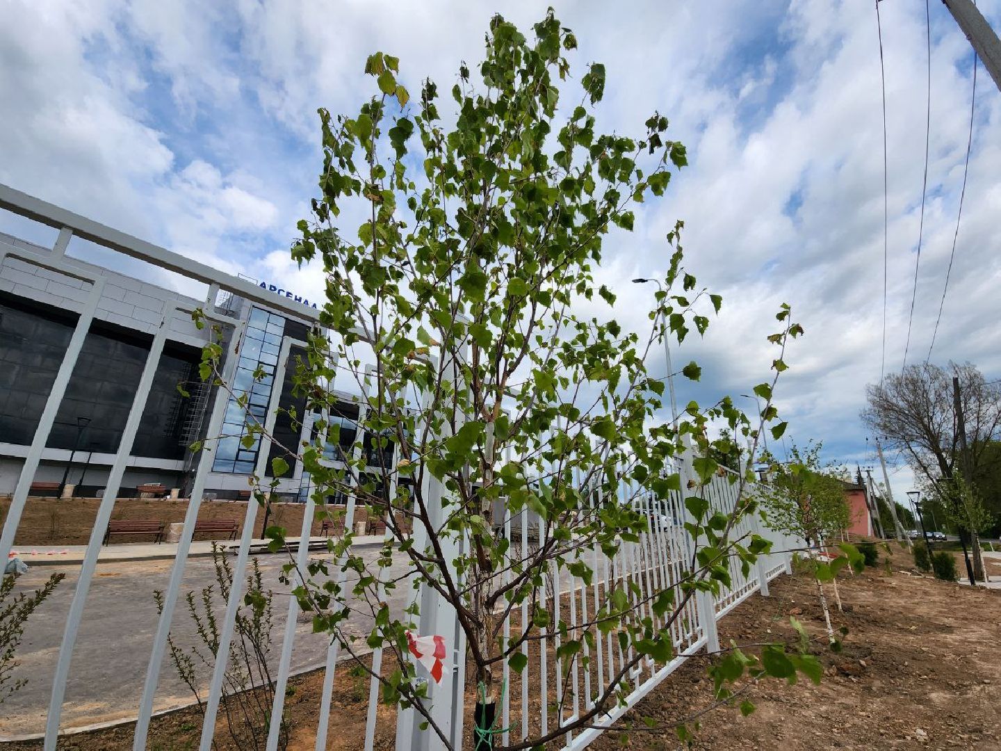 можайск, можайский городской округ, подмосковье, строительство, дворец спорта, арсенал, фок, спортивный объект, школа олимпийского резерва по самбо и дзюдо,