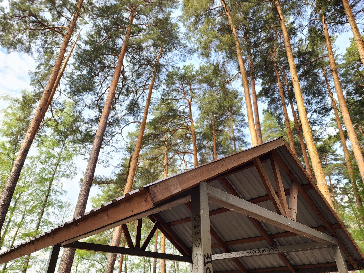 воскресенск, шашлык у озера, пожарная безопасность, лесничество,