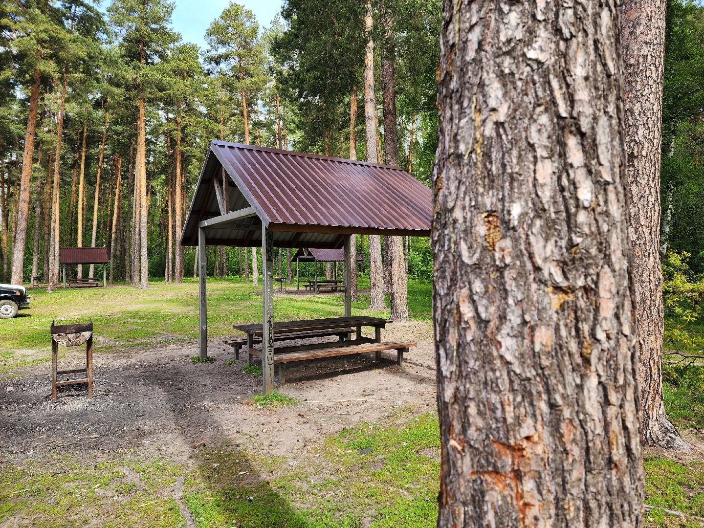 воскресенск, шашлык у озера, пожарная безопасность, лесничество,