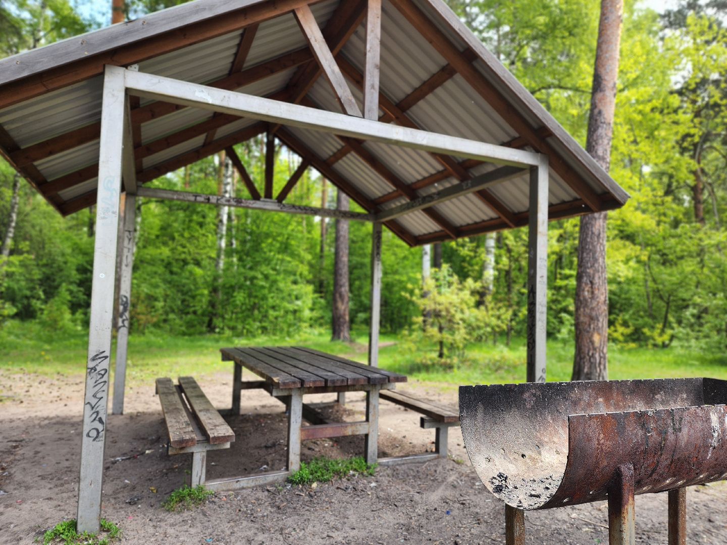 воскресенск, шашлык у озера, пожарная безопасность, лесничество,